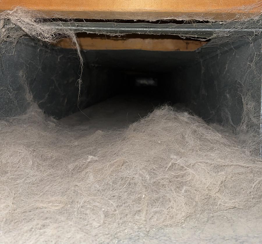 dirty ductwork filled with dust and pet dander in a residential home in London, ontario