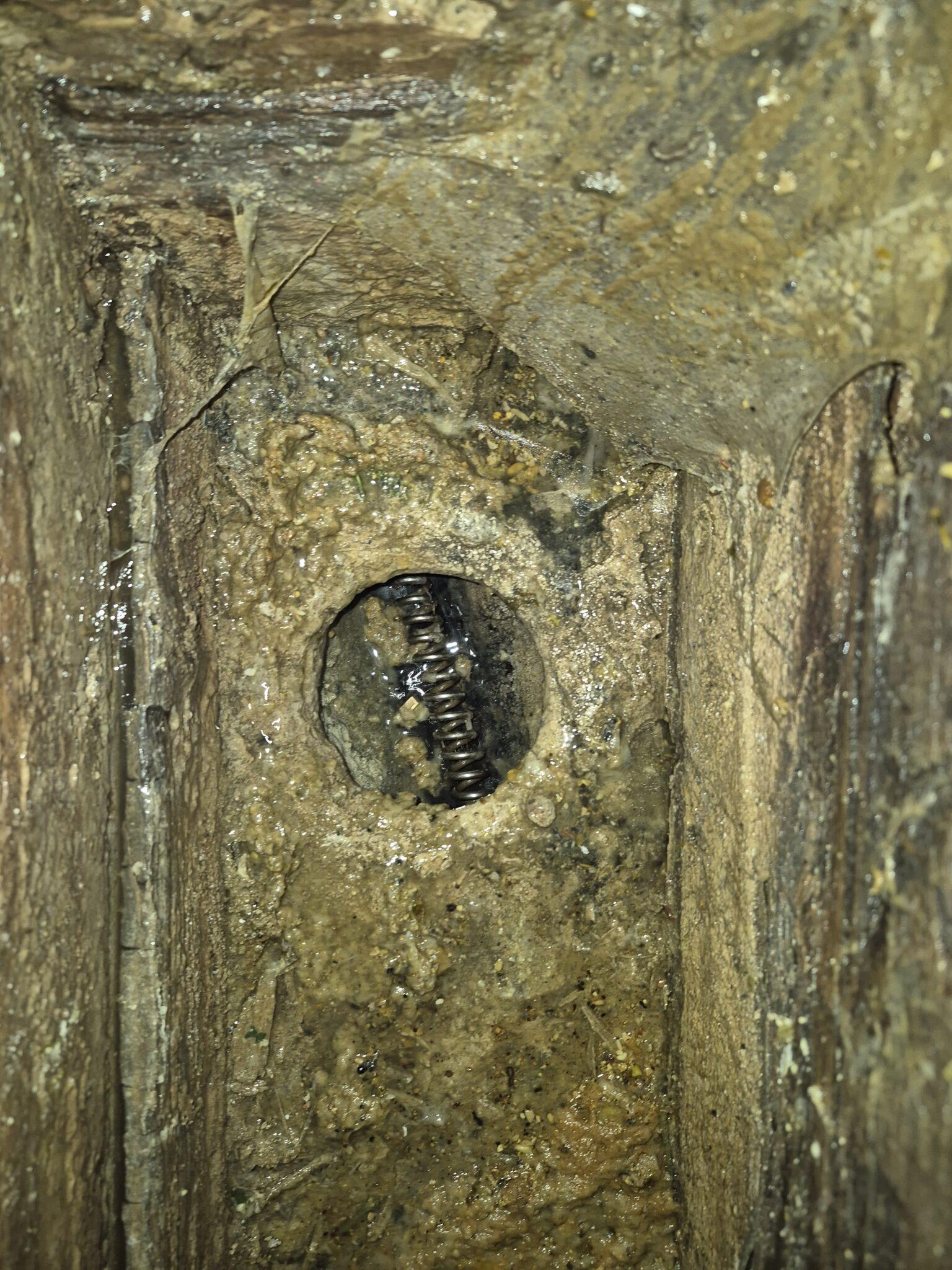 an image of an underground clogged drain in London, ontario.