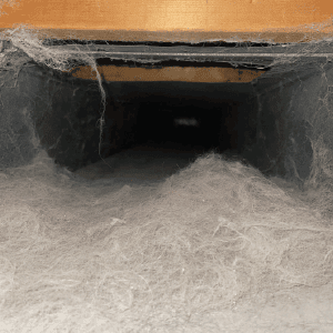 duct-cleaning-london-ontario-donaldson.jpg the inside of a very dirty duct in a home with pets in St. Thomas Ontario. Dust and dander, pet hair etc.